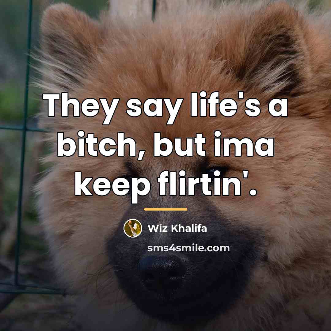 “They say life's a bitch, but ima keep flirtin'.…” quote by Wiz Khalifa