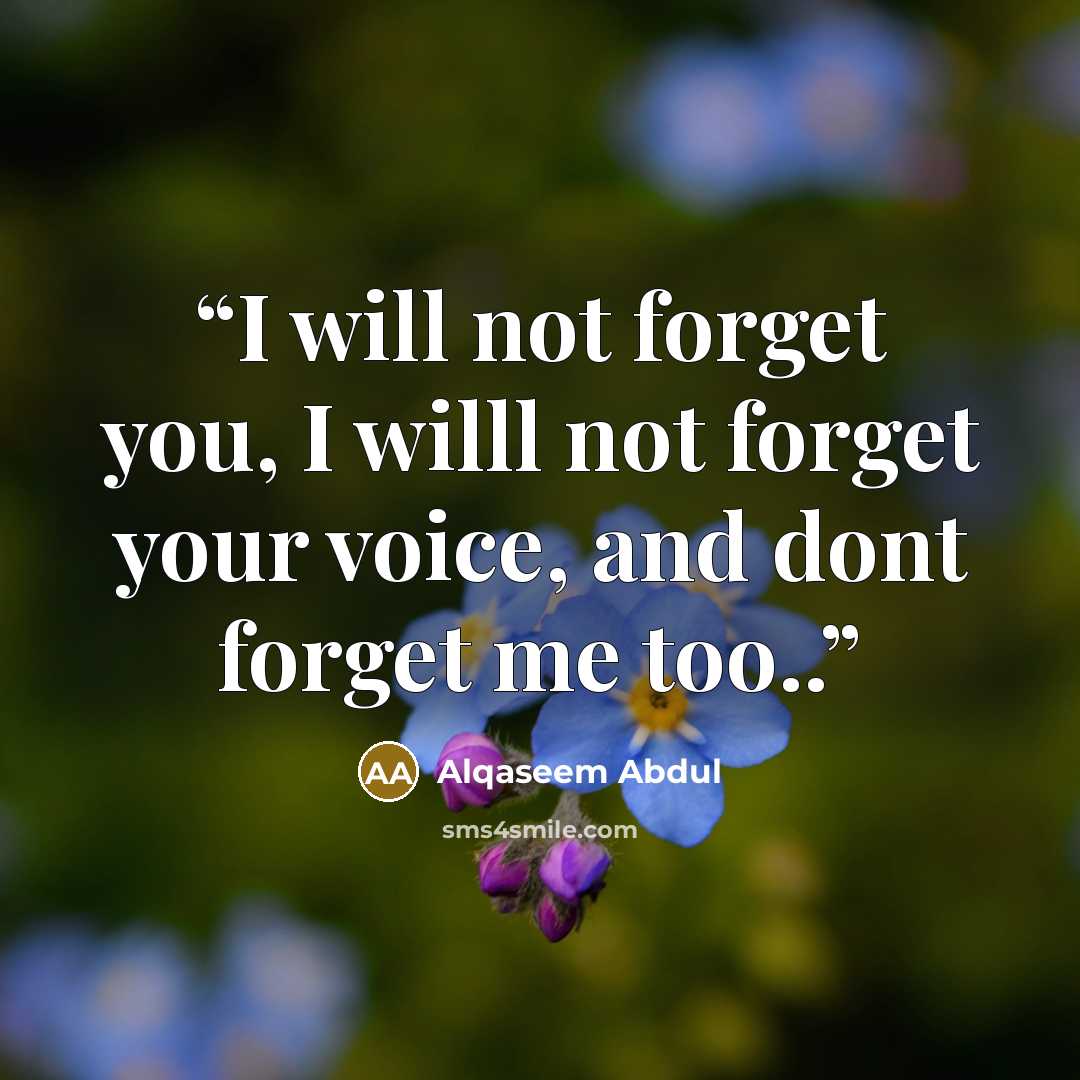 “I will not forget you, I willl not forget your voice, and dont forget me too..” quote by Alqaseem abdul