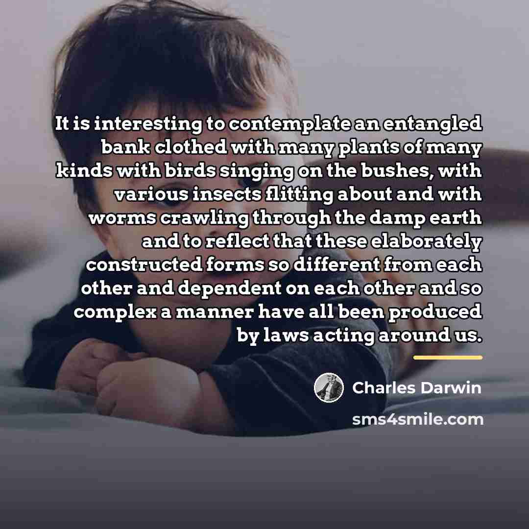 “It is interesting to contemplate an entangled bank clothed with…” quote by Charles Darwin