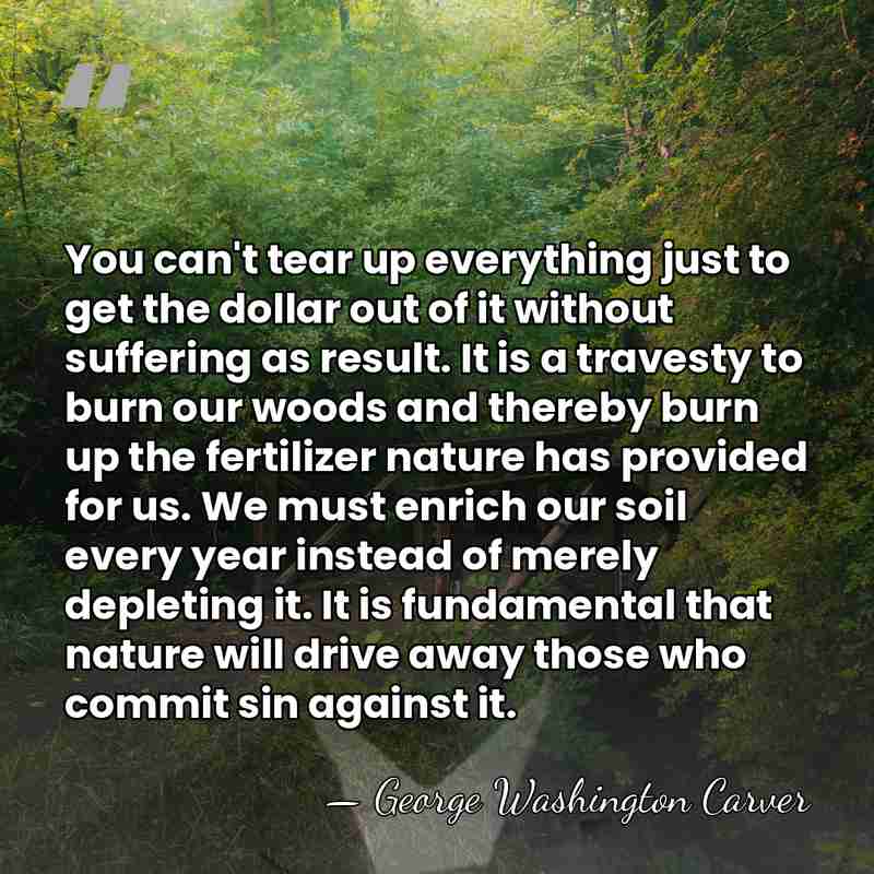 You can't tear up everything just to get the dollar out of&hellip; - George Washington Carver