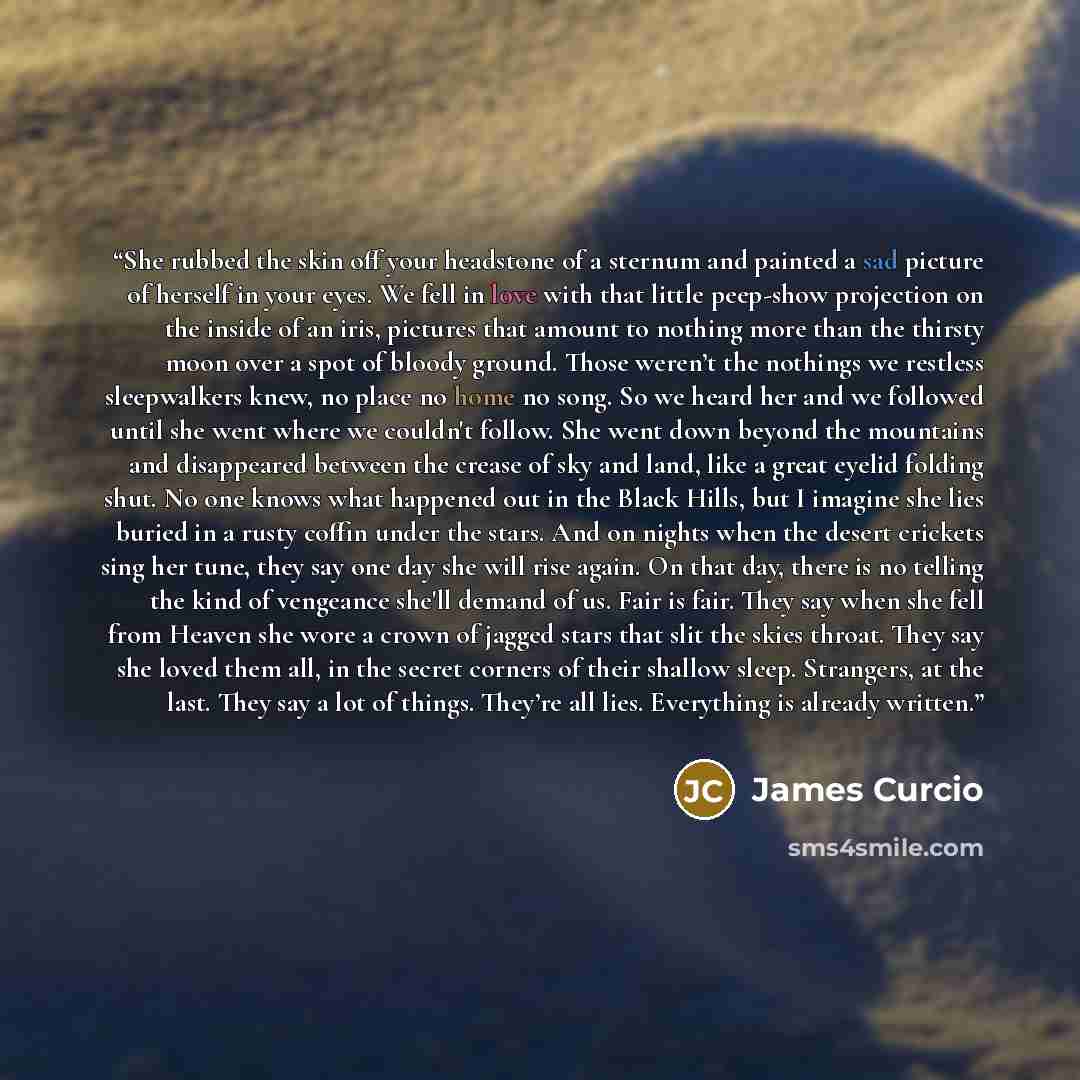 “She rubbed the skin off your headstone of a sternum and painted a sad picture of herself in your eyes. We fell in love with that little peep-show projection on the inside of an iris, pictures that amount to nothing more than the thirsty moon over a spot of bloody ground. Those weren’t the nothings…” quote by James Curcio