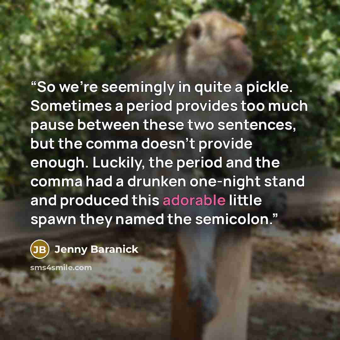 “So we’re seemingly in quite a pickle. Sometimes a period provides too much pause between these two sentences, but the comma doesn’t provide enough. Luckily, the period and the comma had a drunken one-night stand and produced this adorable little spawn they named the semicolon.” quote by Jenny Baranick