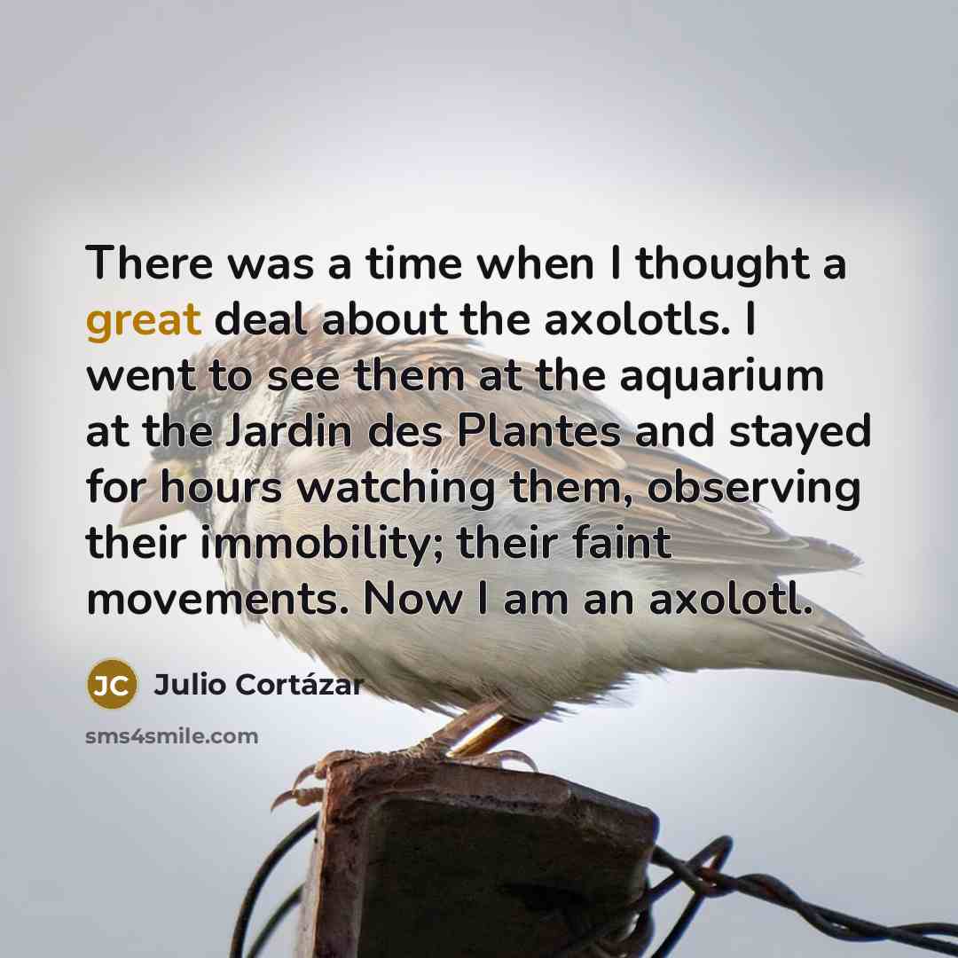 “There was a time when I thought a great deal…” quote by Julio Cortazar