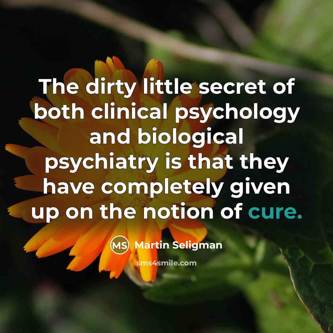 “The dirty little secret of both clinical psychology and biological…” quote by Martin Seligman