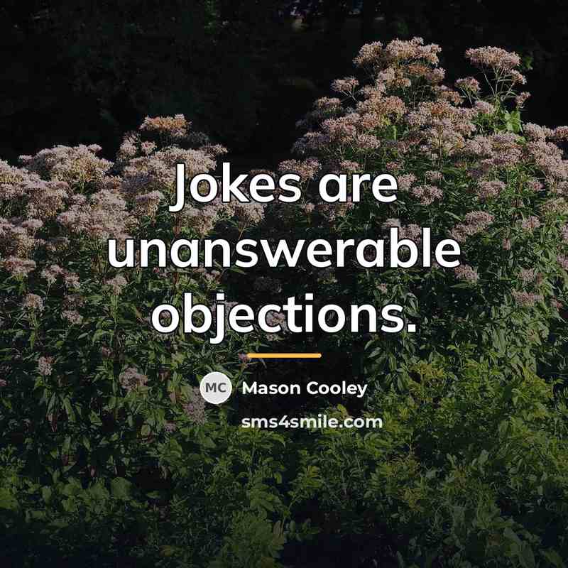 “Jokes are unanswerable objections.…” quote by Mason Cooley