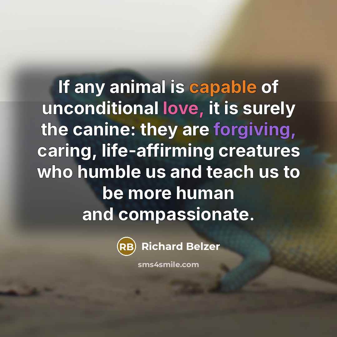 “If any animal is capable of unconditional love, it is surely the canine: they are forgiving, caring, life-affirming creatures who humble us and teach us to be more human and compassionate.” quote by Richard Belzer