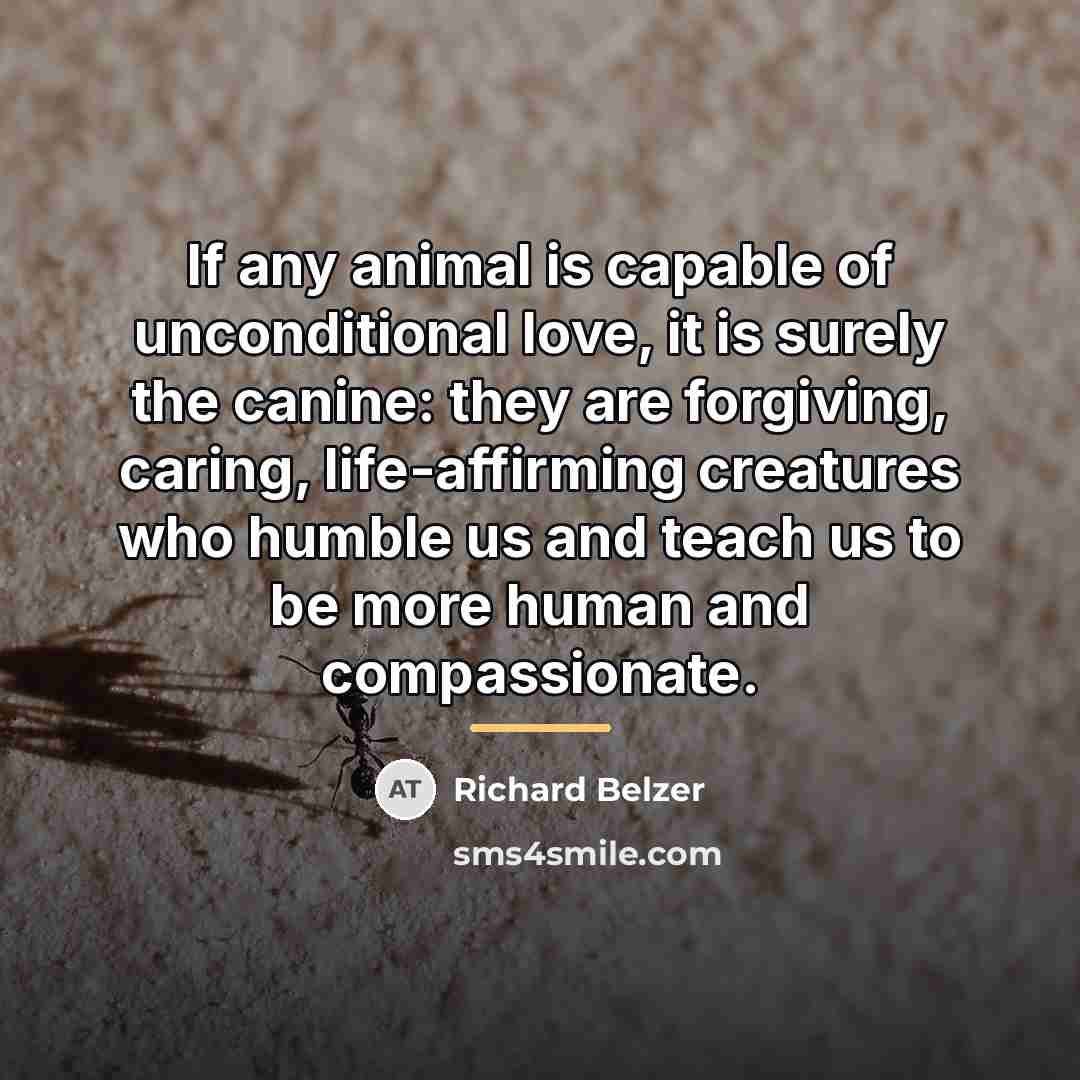 “If any animal is capable of unconditional love, it is…” quote by Richard Belzer