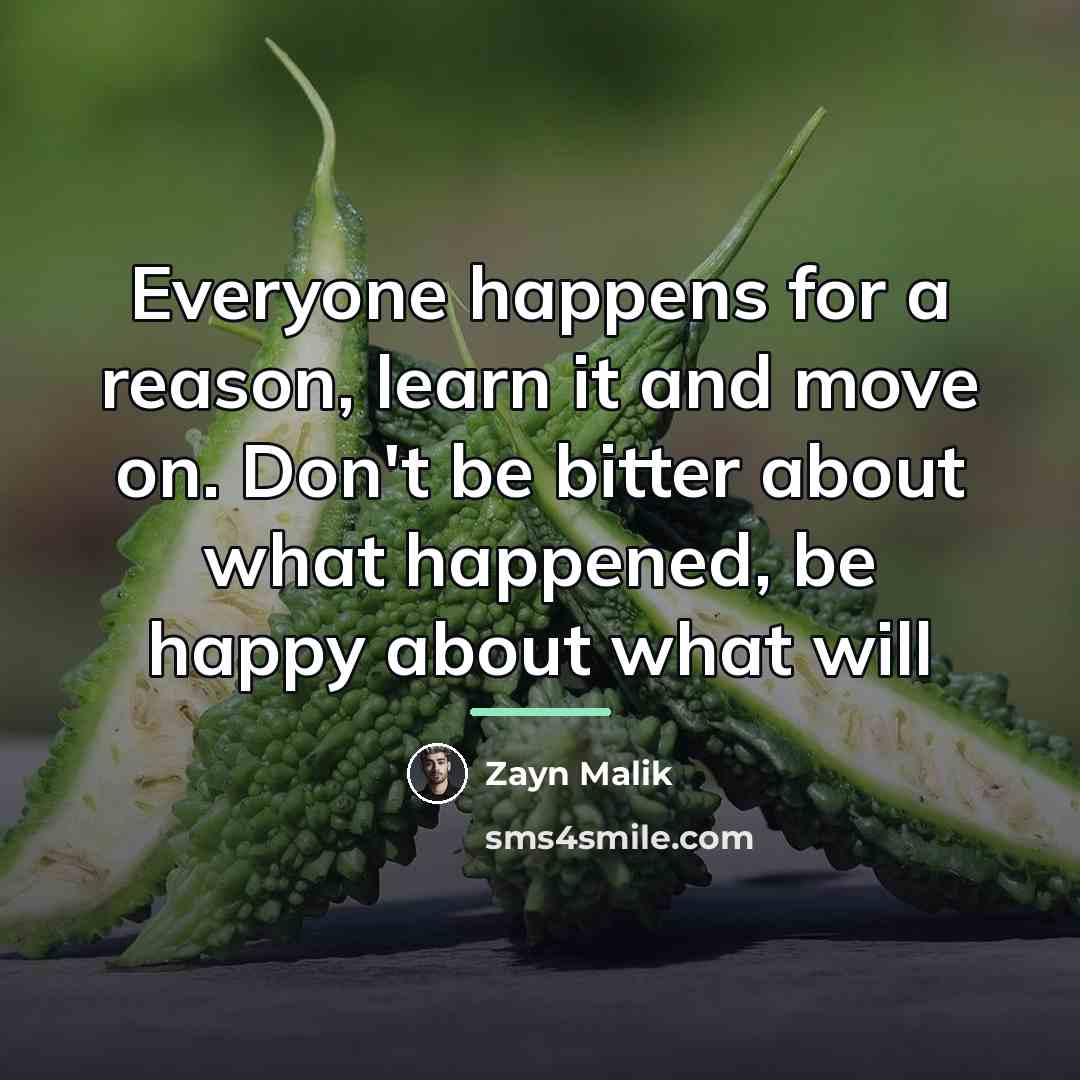“Everyone happens for a reason, learn it and move on.…” quote by Zayn Malik