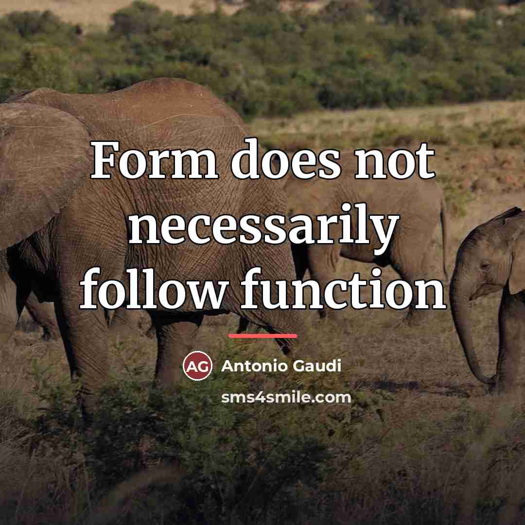 “Form does not necessarily follow function…” quote by Antonio Gaudi