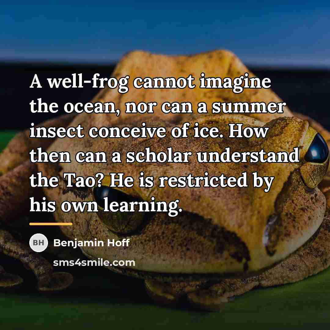 “A well-frog cannot imagine the ocean, nor can a summer…” quote by Benjamin Hoff