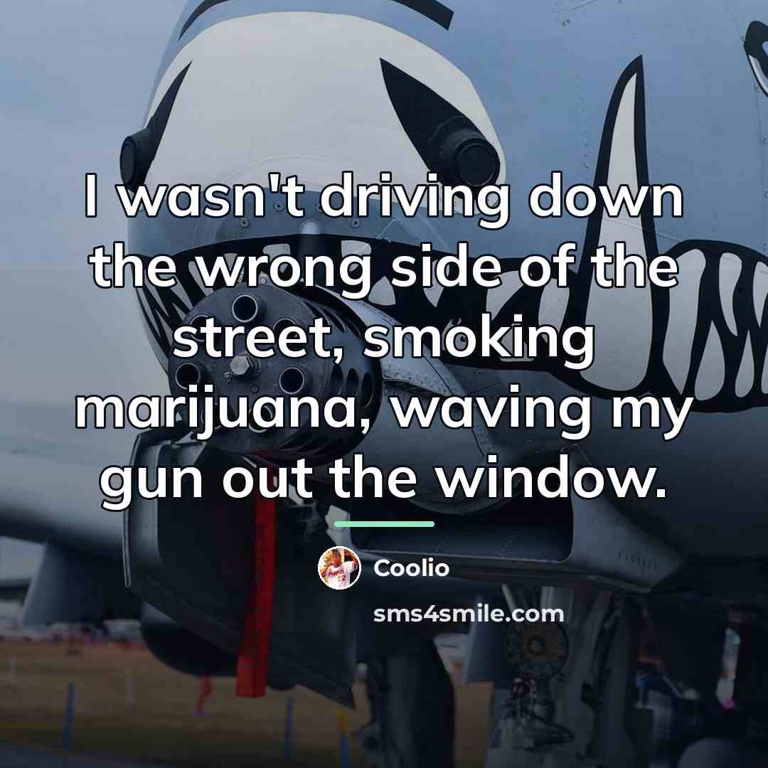 “I wasn't driving down the wrong side of the street,…” quote by Coolio