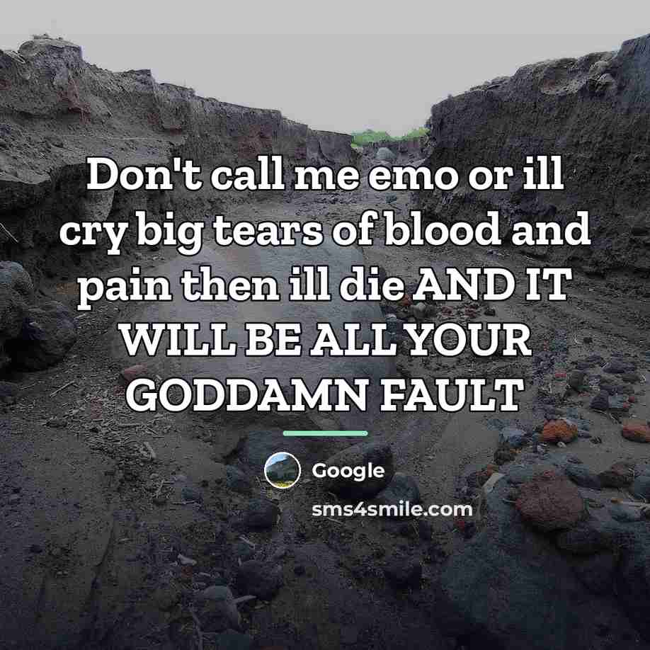 “Don't call me emo or ill cry big tears of…” quote by Google