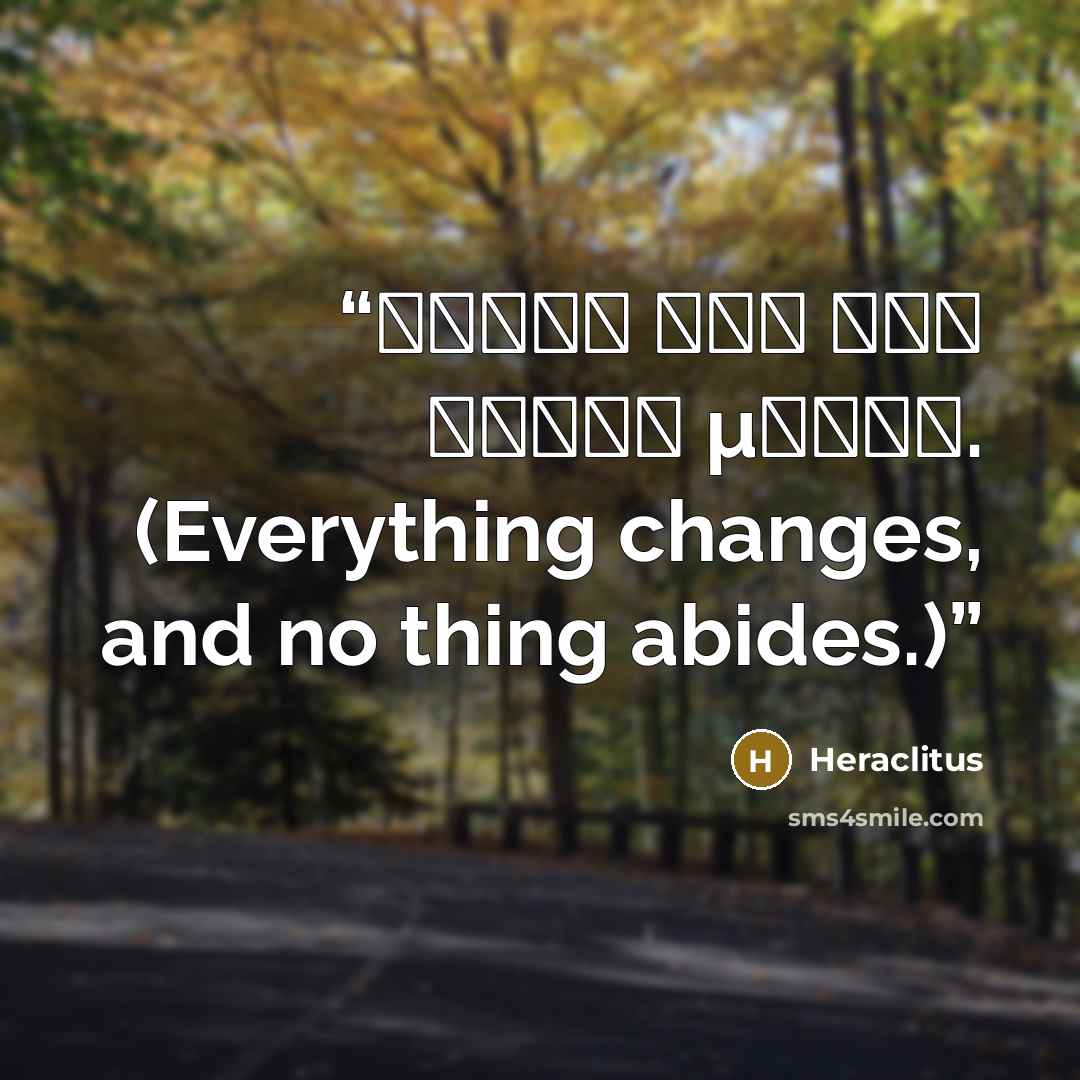 “Πάντα ῥεῖ καὶ οὐδὲν μένει. (Everything changes, and no thing abides.)” quote by Heraclitus