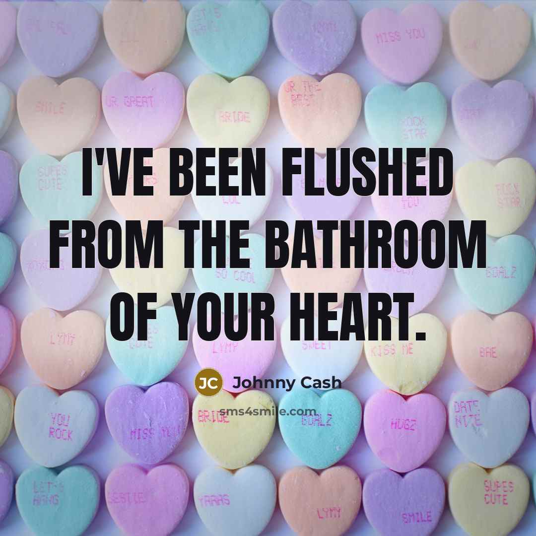 “I've been flushed from the bathroom of your heart.…” quote by Johnny Cash
