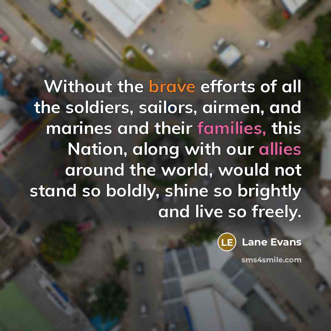 “Without the brave efforts of all the soldiers, sailors, airmen,…” quote by Lane Evans