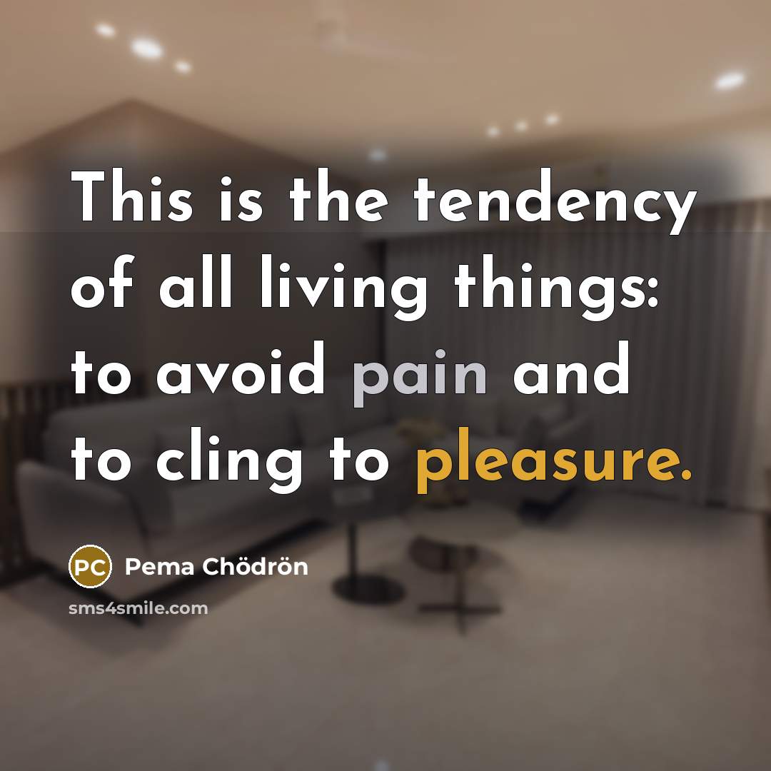 “This is the tendency of all living things: to avoid…” quote by Pema Chodron