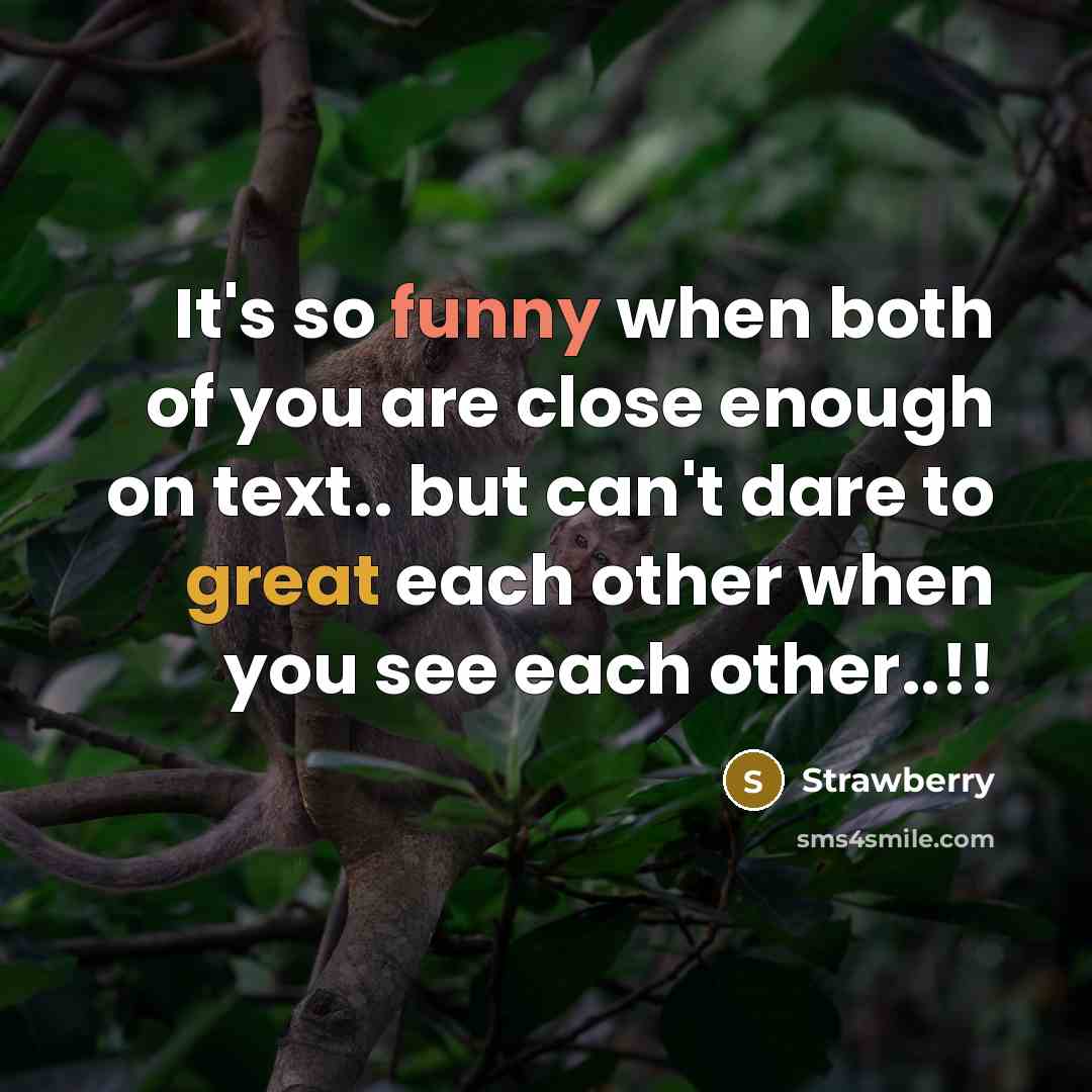 “It's so funny when both of you are close enough on text.. but can't dare to great each other when you see each other..!!” quote by Strawberry