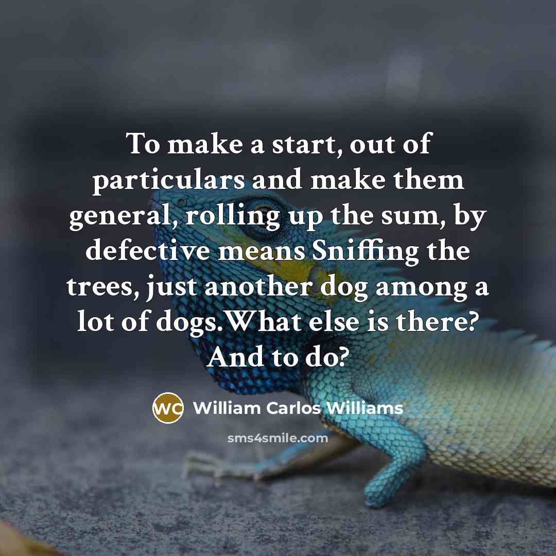“To make a start, out of particulars and make them general, rolling up the sum, by defective means Sniffing the trees, just another dog among a lot of dogs.What else is there? And to do?” quote by William Carlos Williams