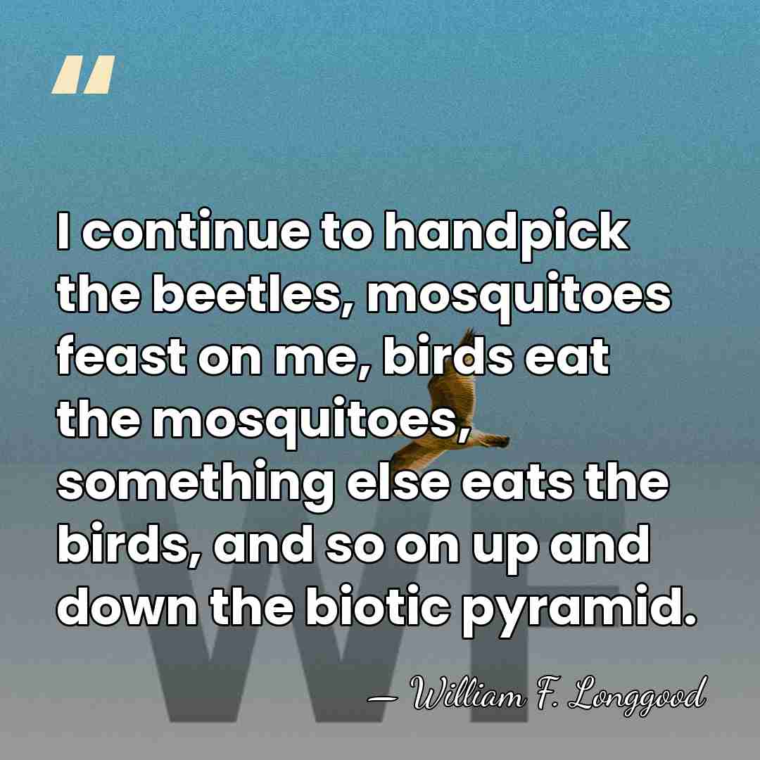 I continue to handpick the beetles, mosquitoes feast on me, birds eat&hellip; - William F. Longgood