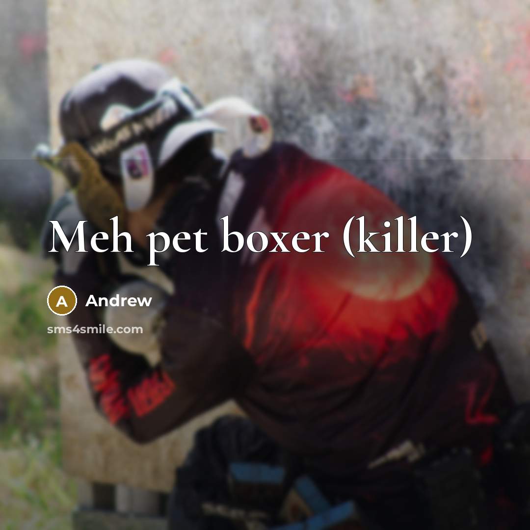 “Meh pet boxer (killer)…” quote by Andrew