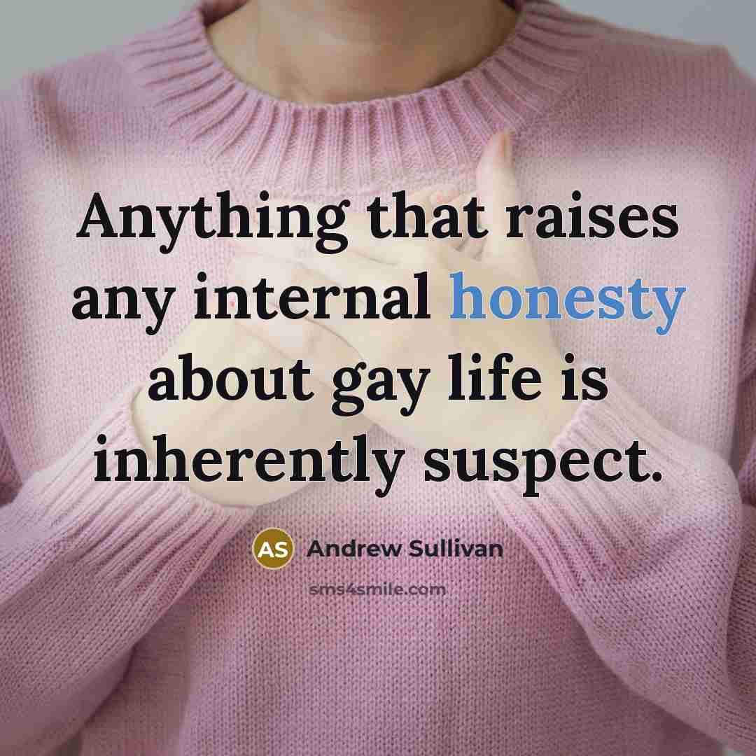 “Anything that raises any internal honesty about gay life is…” quote by Andrew Sullivan