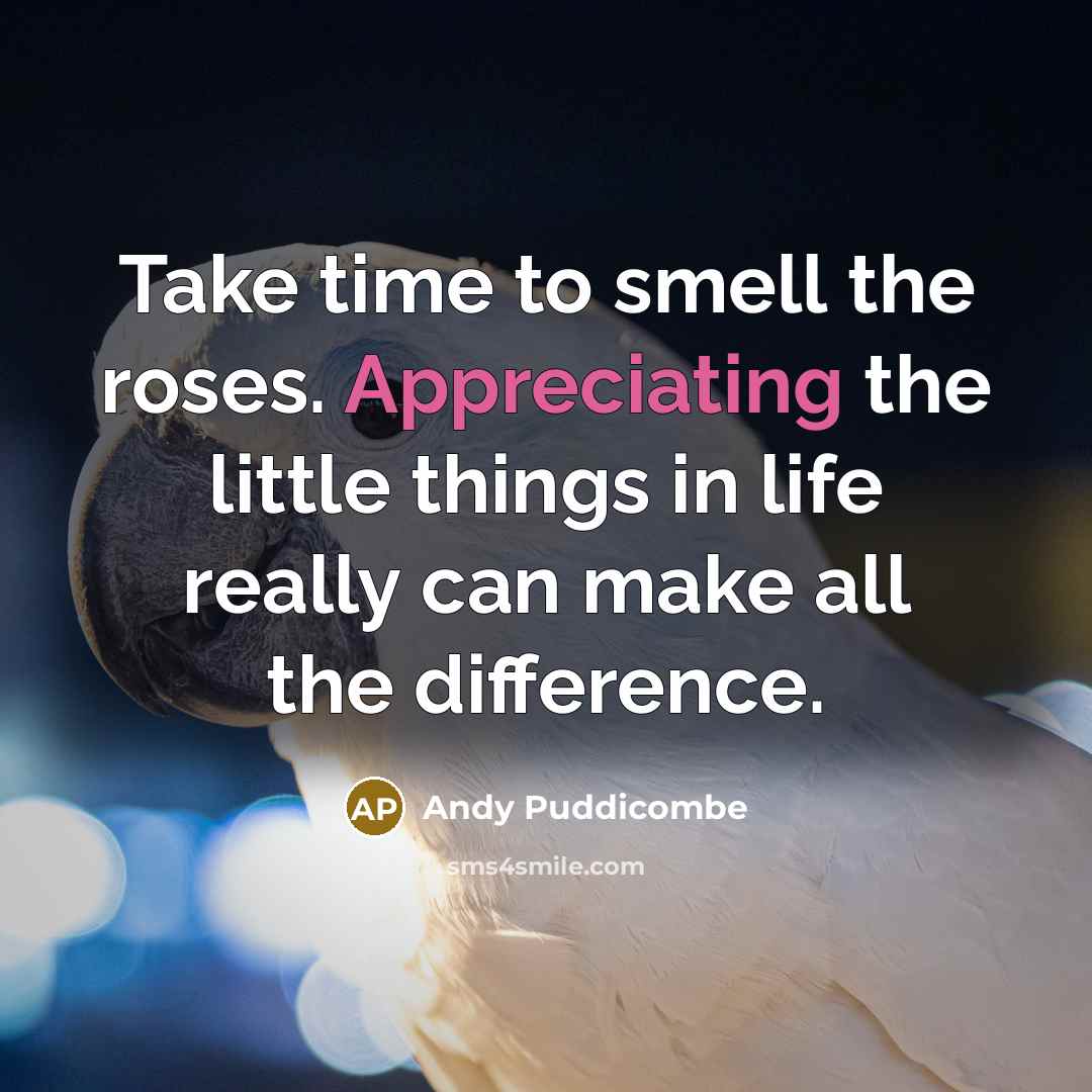 “Take time to smell the roses. Appreciating the little things…” quote by Andy Puddicombe