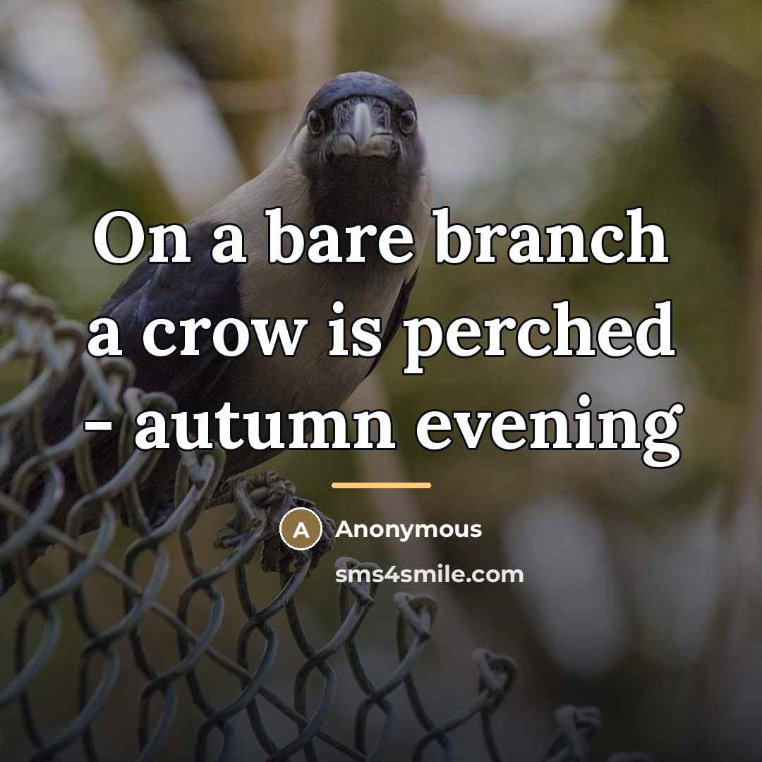 “On a bare branch a crow is perched - autumn…” quote by Anonymous