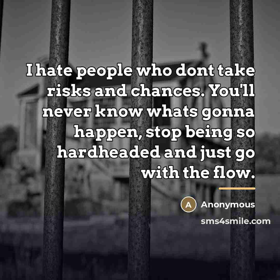 “I hate people who dont take risks and chances. You'll…” quote by Anonymous