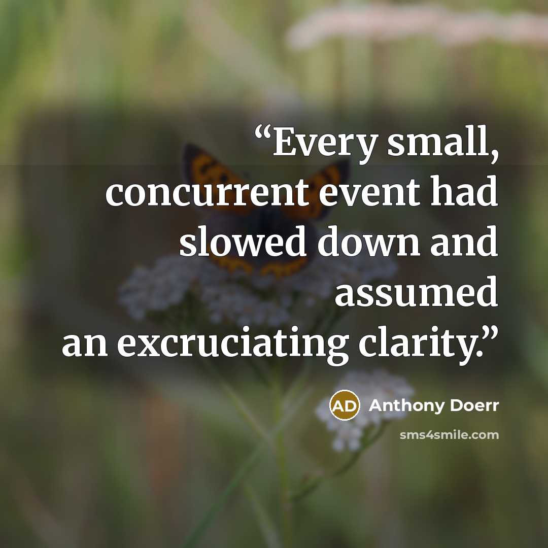 “Every small, concurrent event had slowed down and assumed an excruciating clarity.” quote by Anthony Doerr