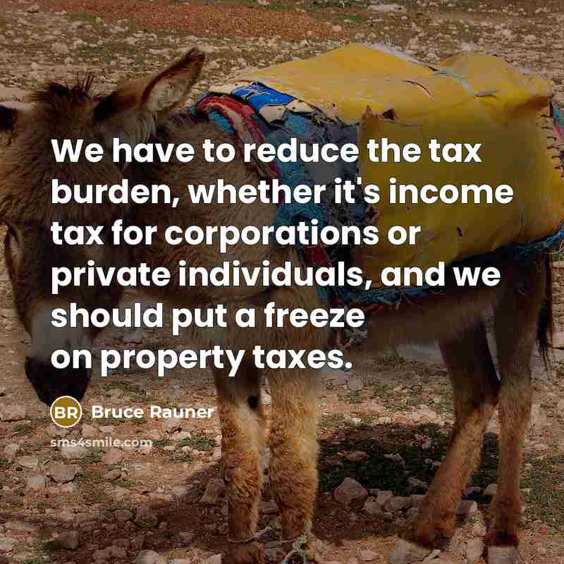 “We have to reduce the tax burden, whether it's income…” quote by Bruce Rauner