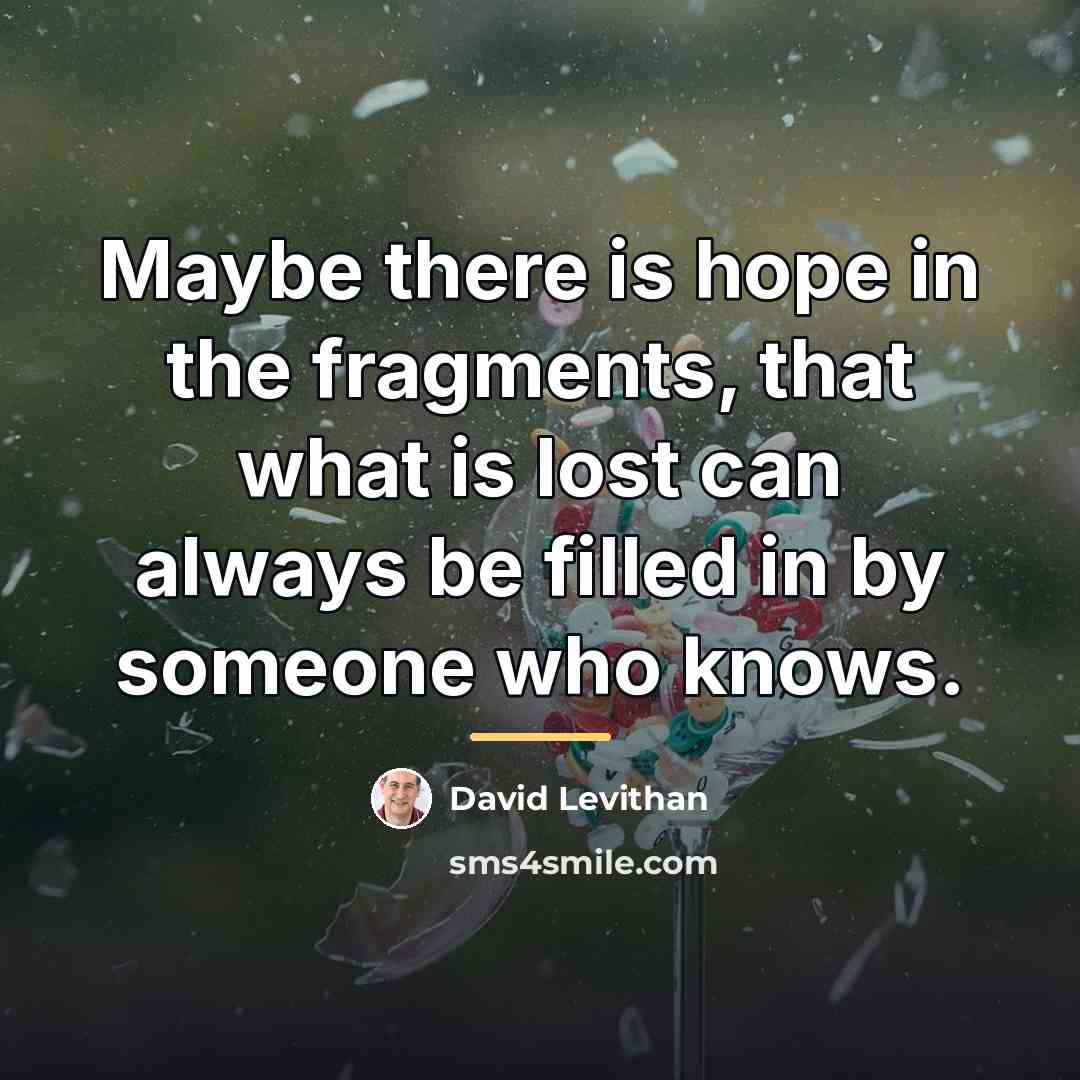 “Maybe there is hope in the fragments, that what is…” quote by David Levithan