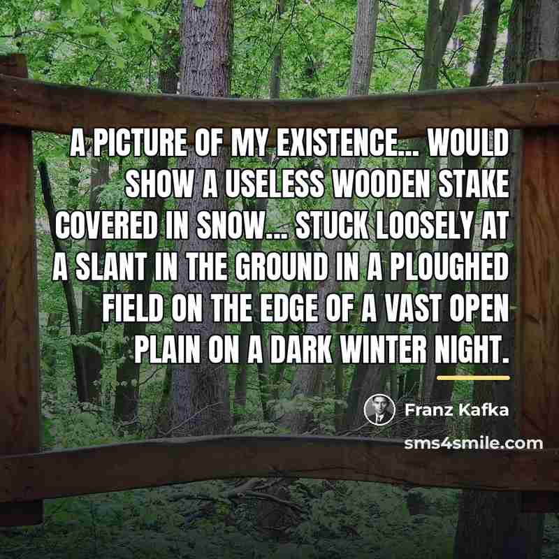 “A picture of my existence... would show a useless wooden…” quote by Franz Kafka