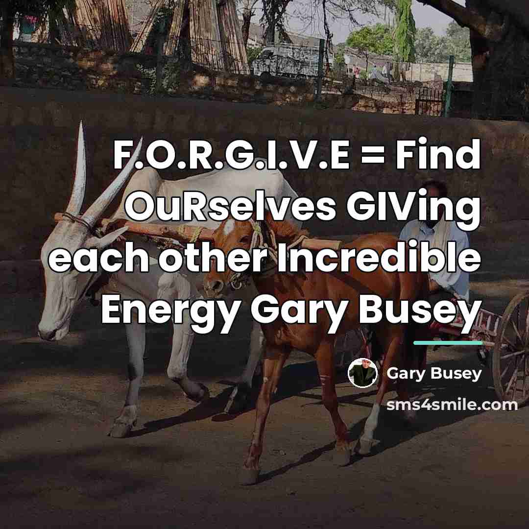 “F.O.R.G.I.V.E = Find OuRselves GIVing each other Incredible Energy Gary…” quote by Gary Busey