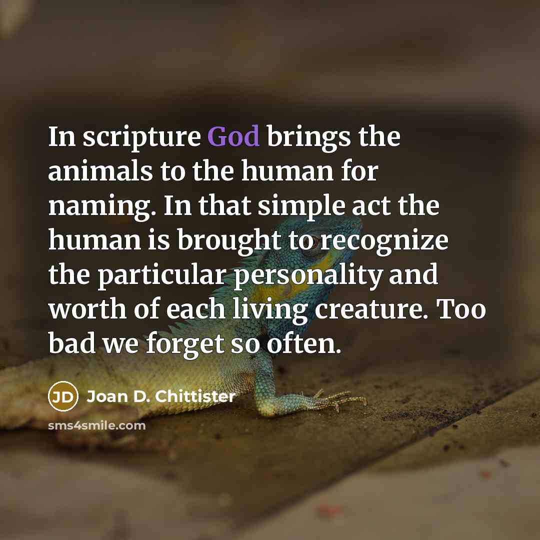 “In scripture God brings the animals to the human for…” quote by Joan D. Chittister