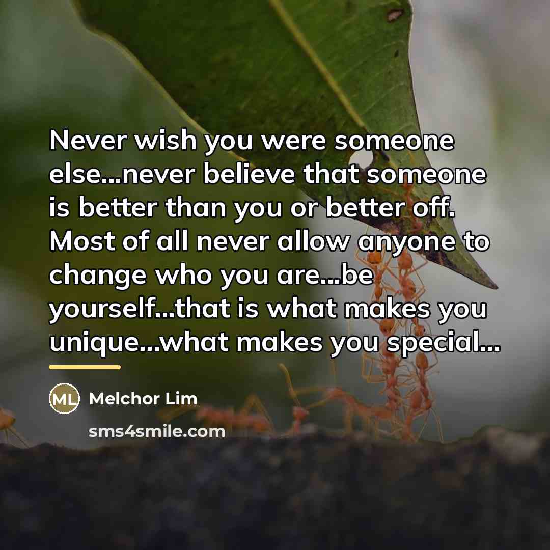 “Never wish you were someone else...never believe that someone is…” quote by Melchor Lim