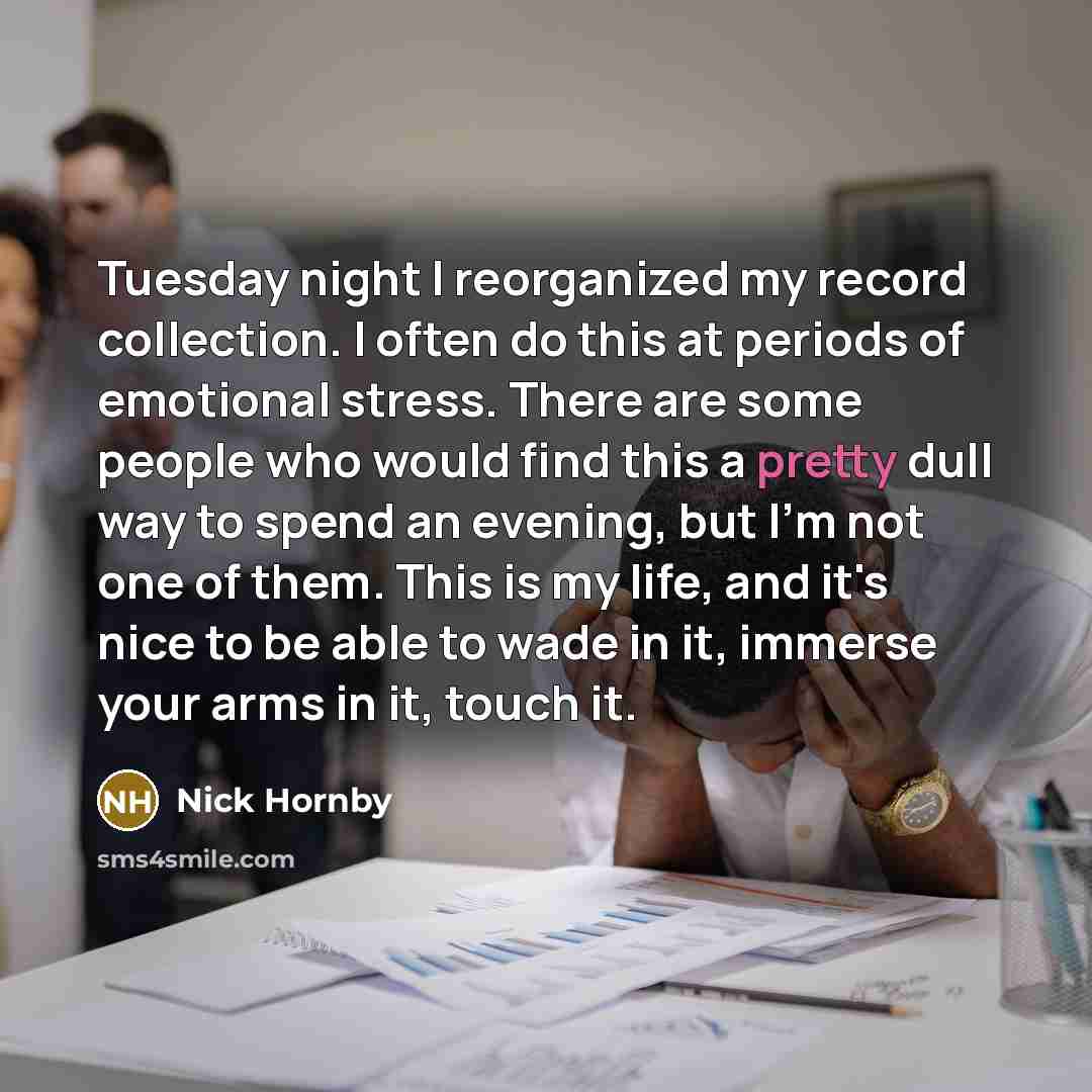 “Tuesday night I reorganized my record collection. I often do…” quote by Nick Hornby