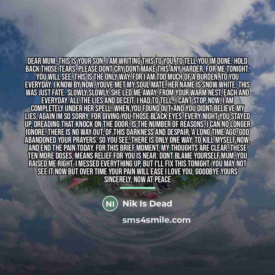 “Dear mum, This is your son, I am writing this…” quote by Nik Is Dead