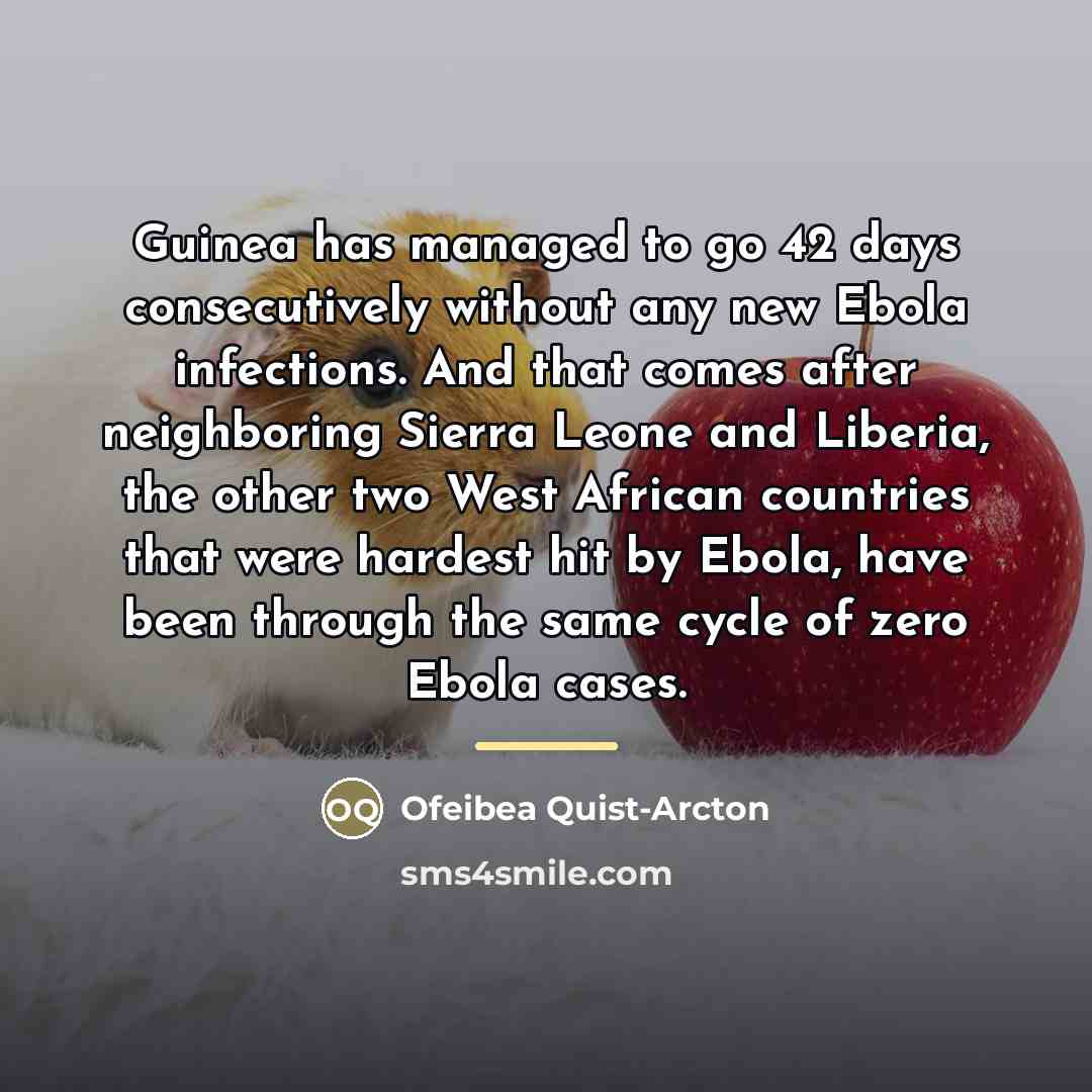 “Guinea has managed to go 42 days consecutively without any…” quote by Ofeibea Quist-Arcton