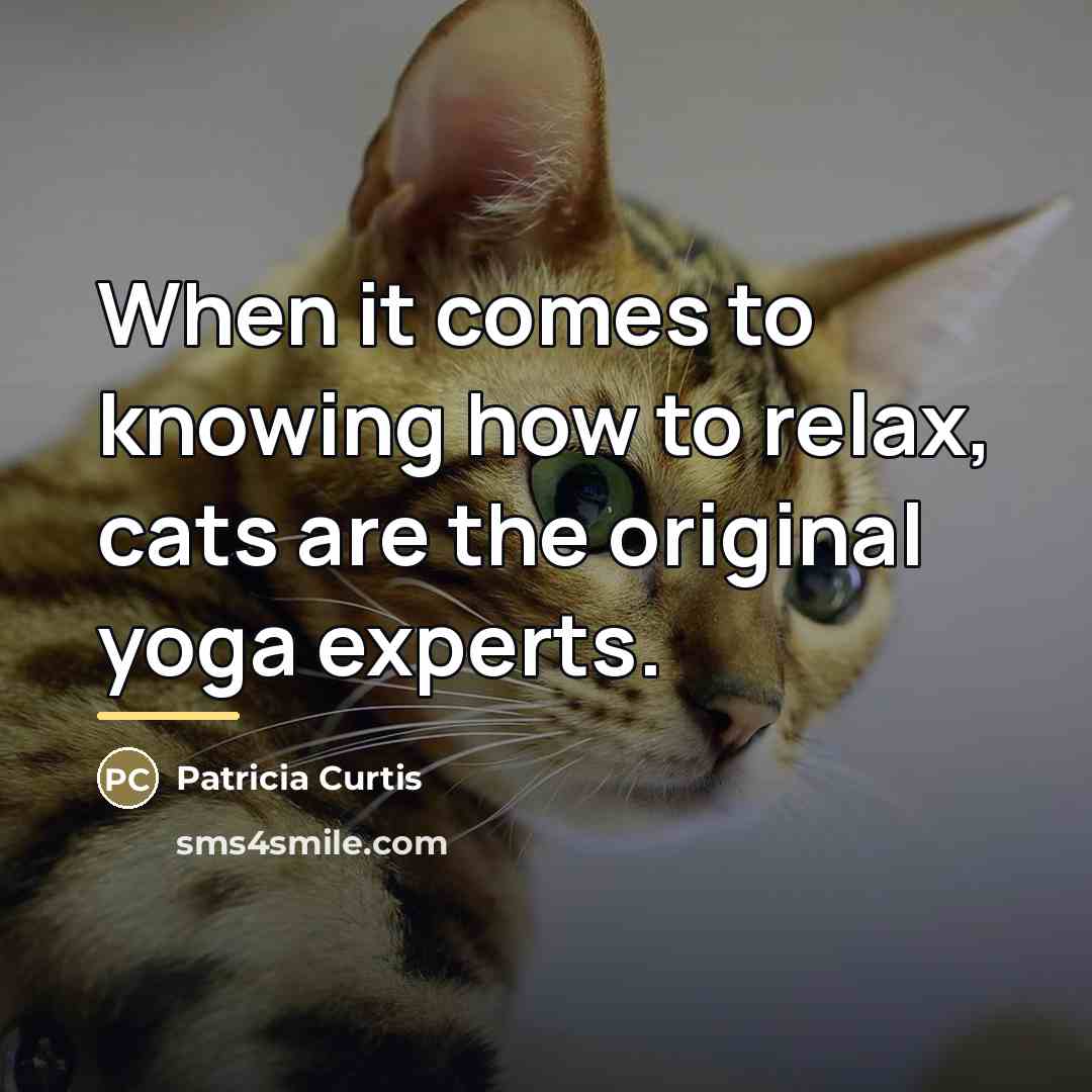 “When it comes to knowing how to relax, cats are…” quote by Patricia Curtis