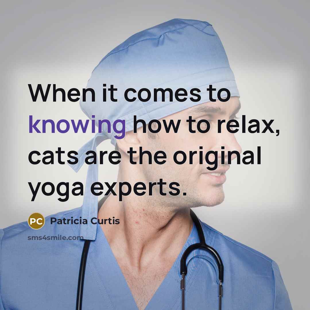 “When it comes to knowing how to relax, cats are the original yoga experts.” quote by Patricia Curtis