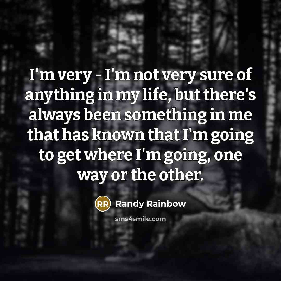 “I'm very - I'm not very sure of anything in…” quote by Randy Rainbow