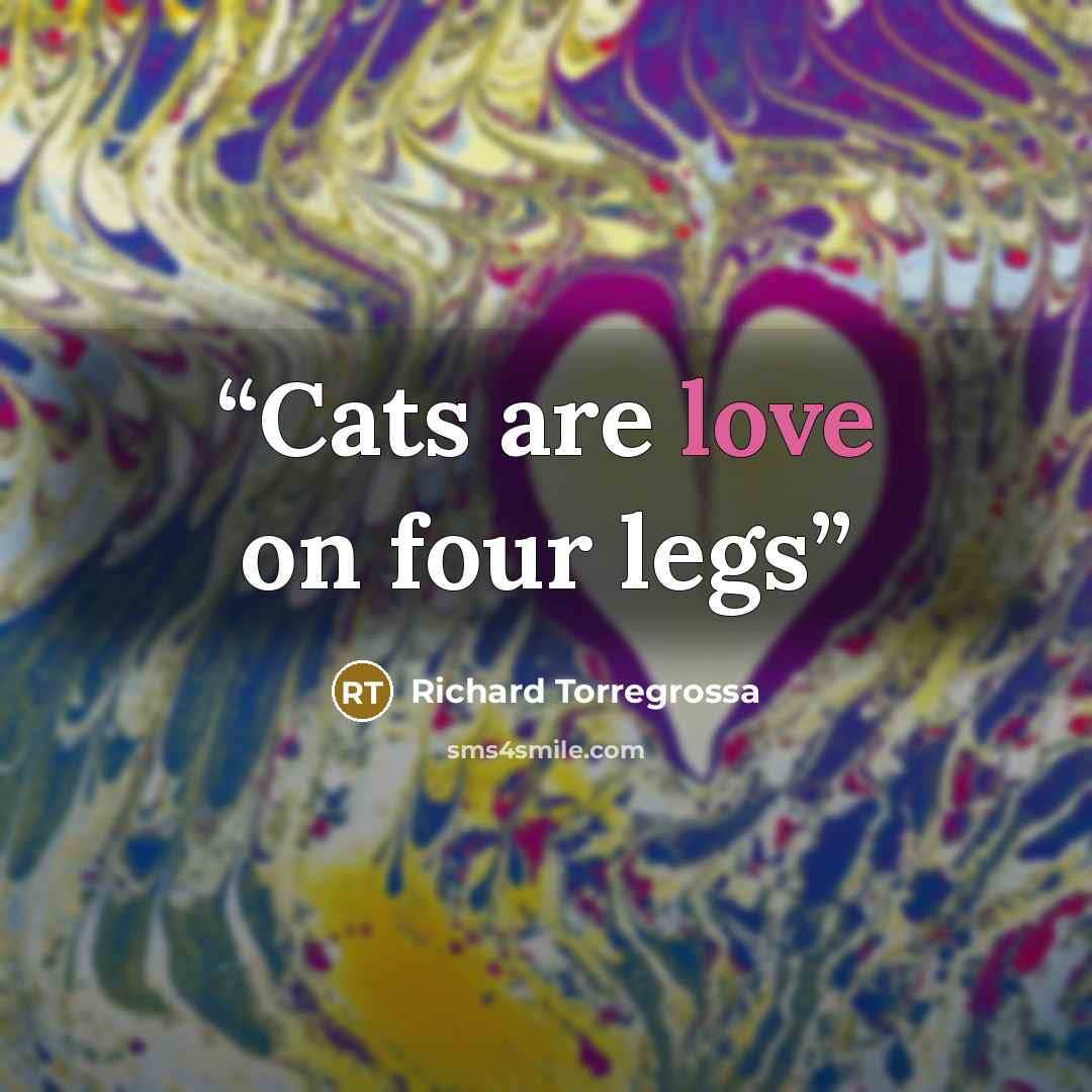 “Cats are love on four legs” quote by Richard Torregrossa