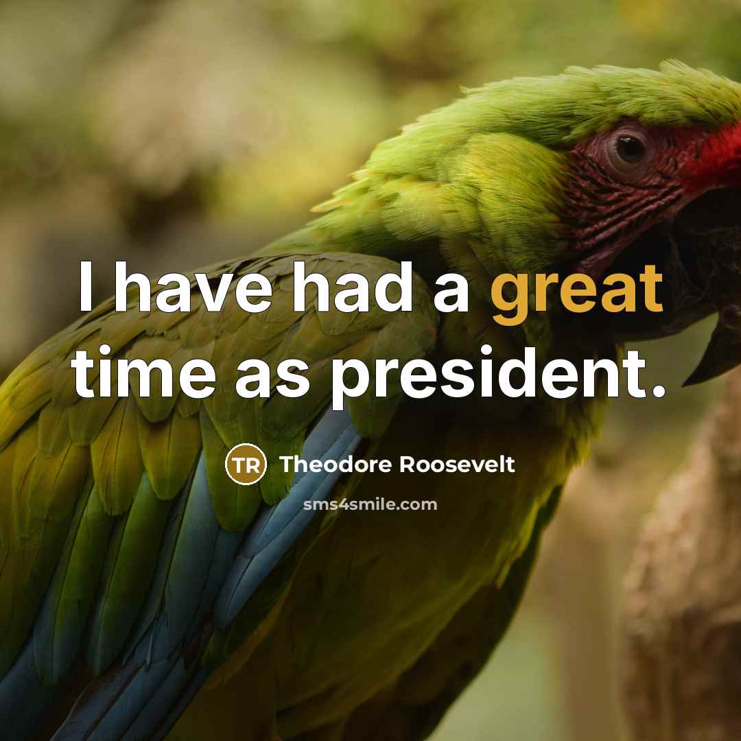 “I have had a great time as president.…” quote by Theodore Roosevelt