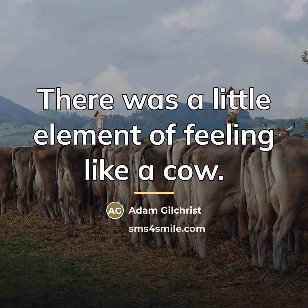 “There was a little element of feeling like a cow.…” quote by Adam Gilchrist