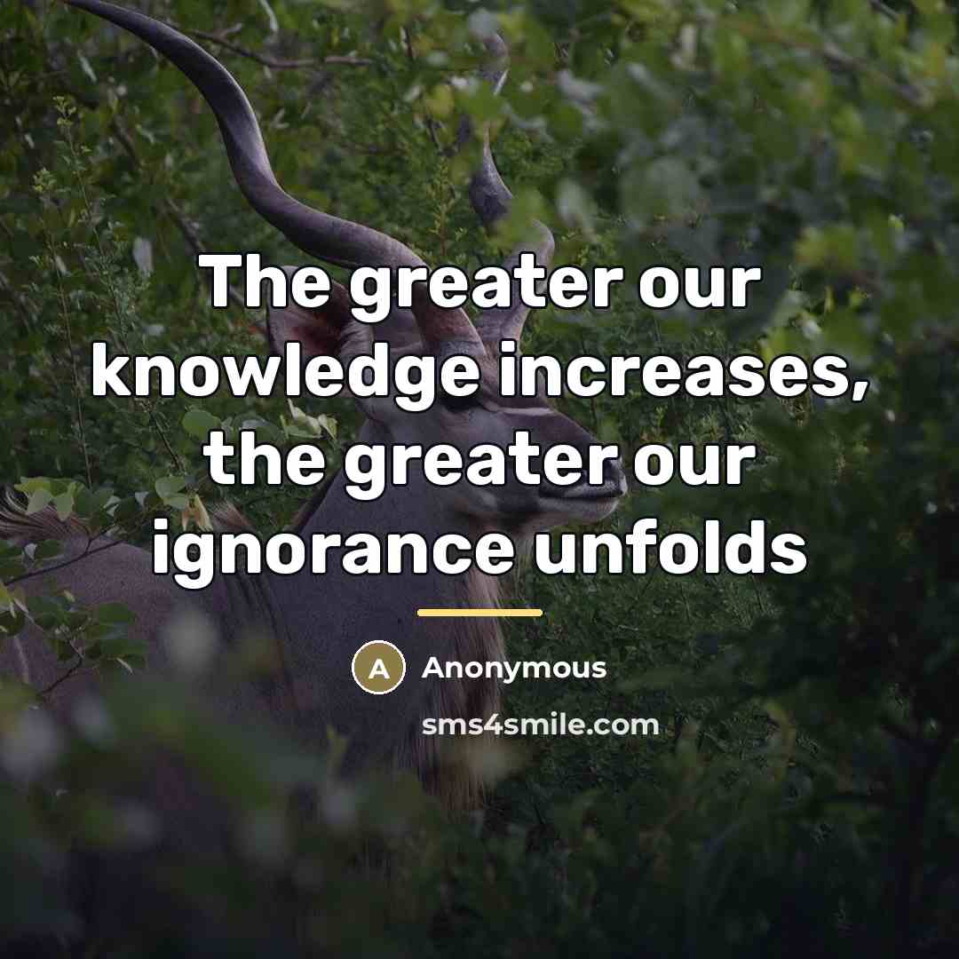 “The greater our knowledge increases, the greater our ignorance unfolds…” quote by Anonymous