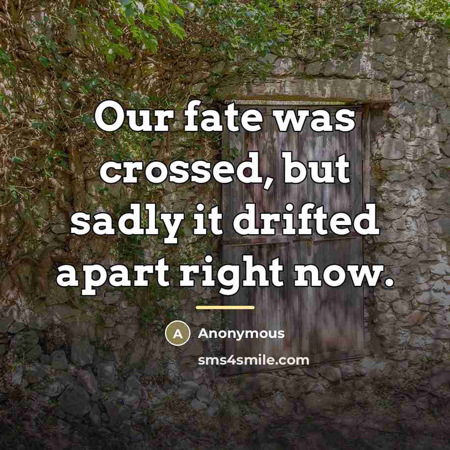 “Our fate was crossed, but sadly it drifted apart right…” quote by Anonymous