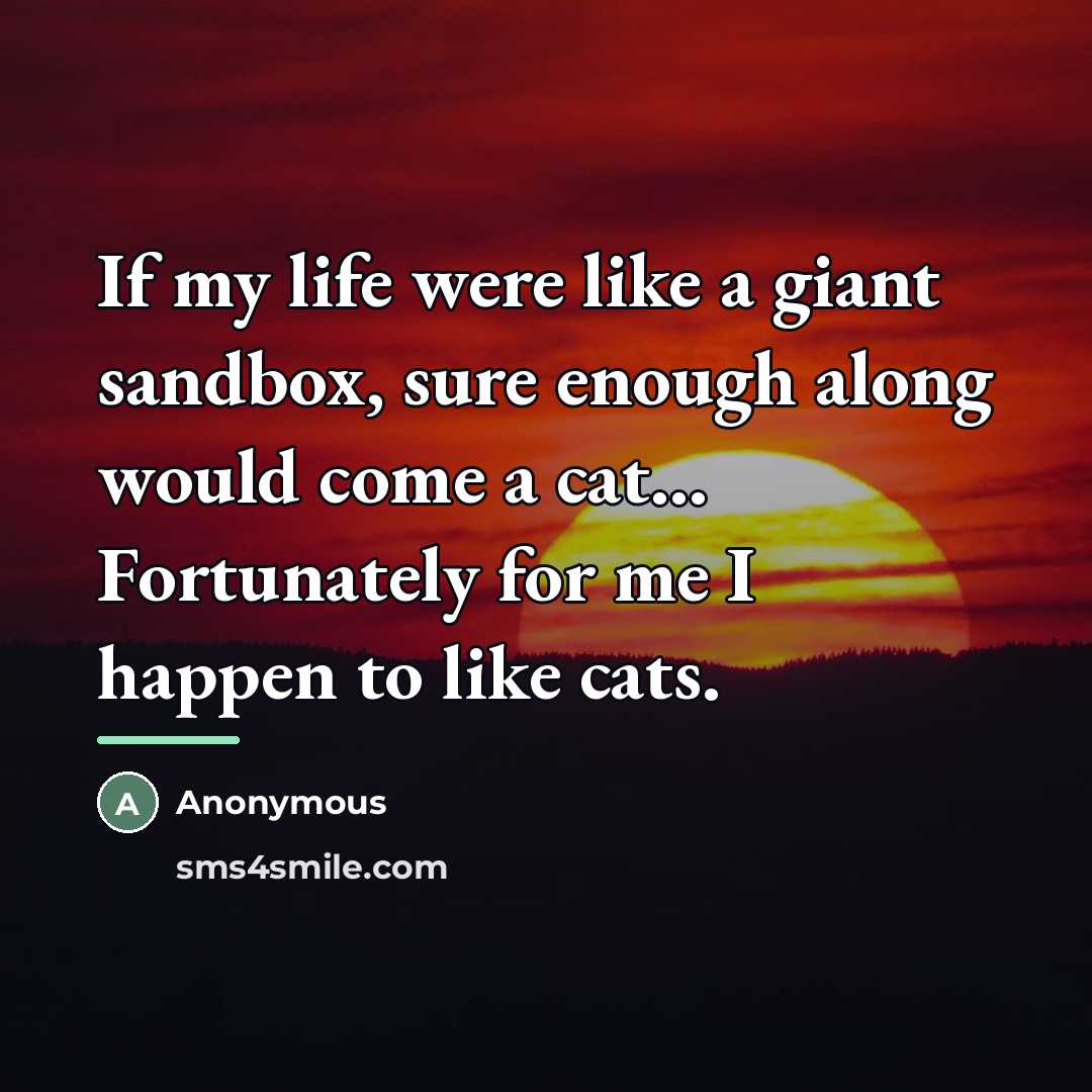 “If my life were like a giant sandbox, sure enough…” quote by Anonymous