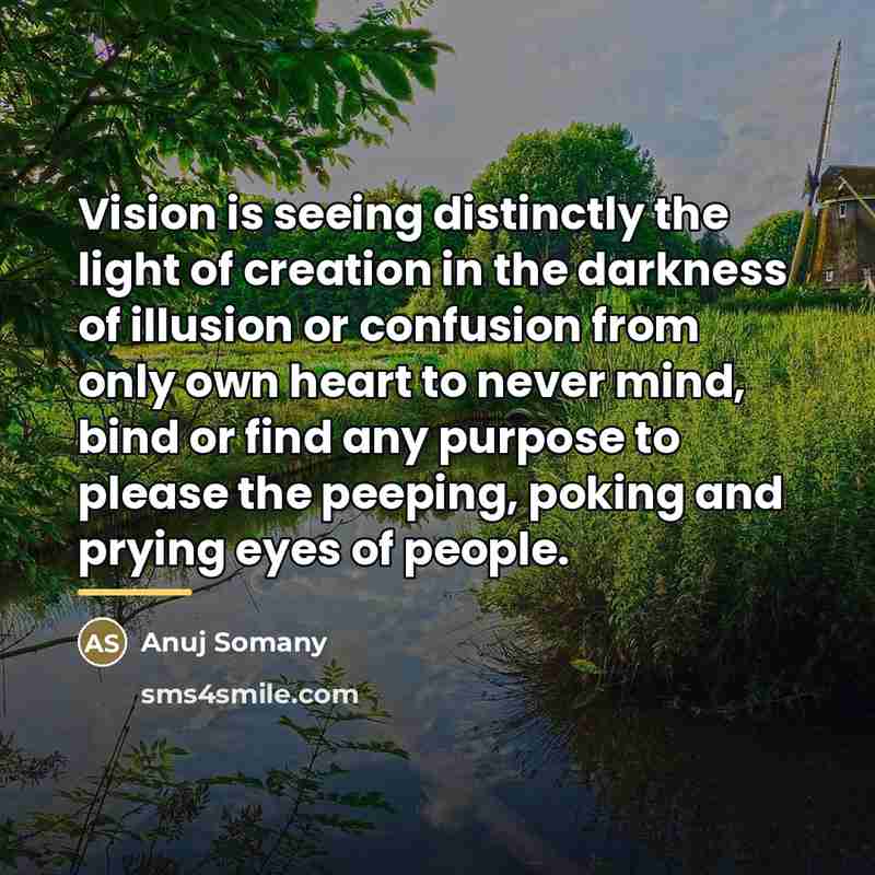 “Vision is seeing distinctly the light of creation in the…” quote by Anuj Somany