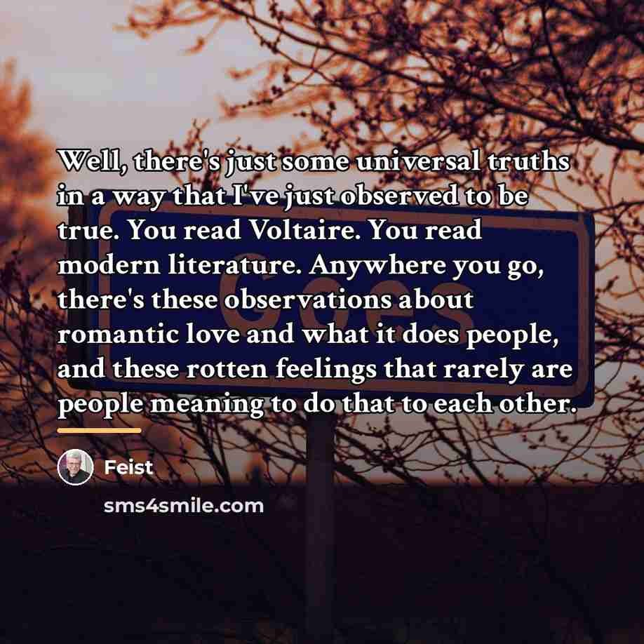 “Well, there's just some universal truths in a way that…” quote by Feist