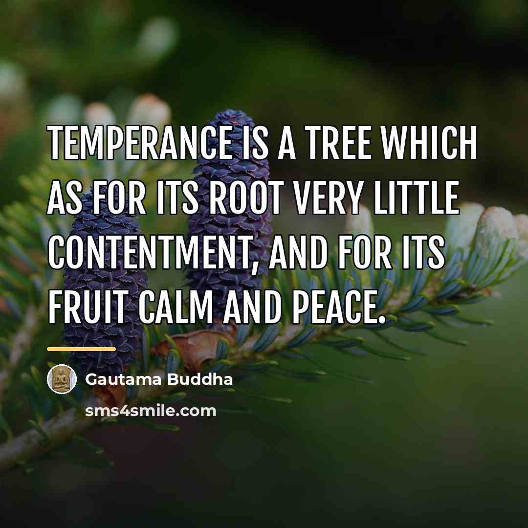 “Temperance is a tree which as for its root very…” quote by Gautama Buddha